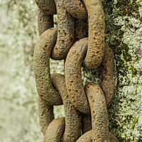 Buy canvas prints of Large Rusty Chain by Christine Kerioak