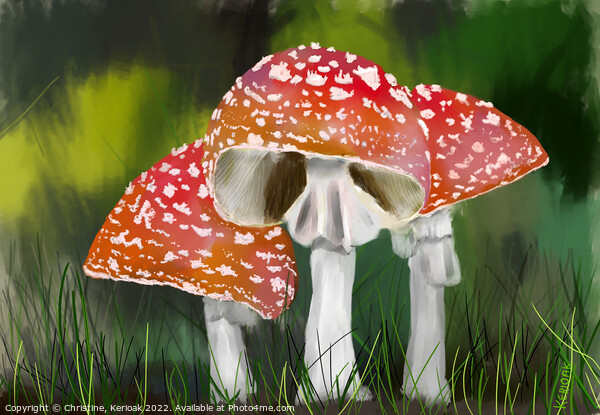 Fly Agaric Toadstools Painting Picture Board by Christine Kerioak