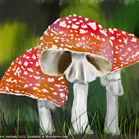 Buy canvas prints of Fly Agaric Toadstools Painting by Christine Kerioak