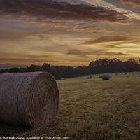 Buy canvas prints of Hayfield at Dawn by Christine Kerioak