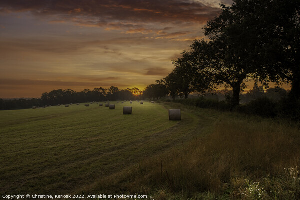 Sussex Hayfield at Dawn Picture Board by Christine Kerioak