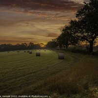 Buy canvas prints of Sussex Hayfield at Dawn by Christine Kerioak