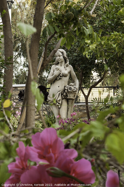 Statue in Spanish Garden Picture Board by Christine Kerioak