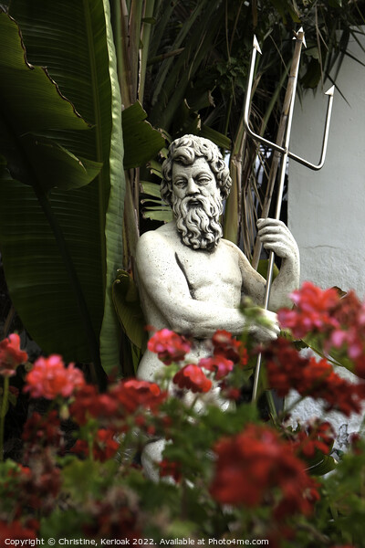 Poseidon, in a sea of geraniums Picture Board by Christine Kerioak