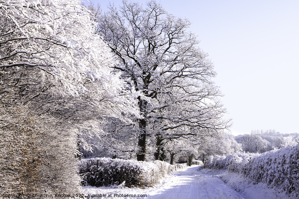 Country Lane Under Snow Picture Board by Christine Kerioak