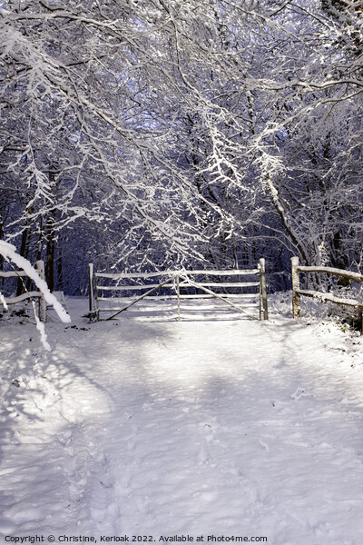 Entrance Gate to Winter Wonderland Picture Board by Christine Kerioak