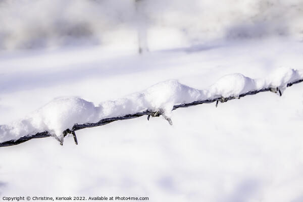 Snow Covered Barbed Wire Picture Board by Christine Kerioak