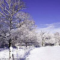 Buy canvas prints of Dividing Fence in Snow Covered Fields by Christine Kerioak