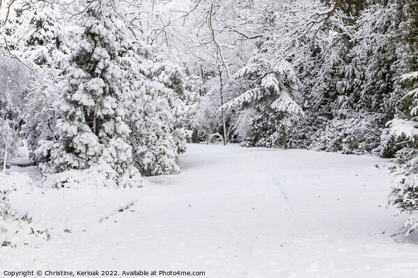 Snowy Drive Picture Board by Christine Kerioak