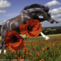 Buy canvas prints of In Memory of Warhorses by Christine Kerioak