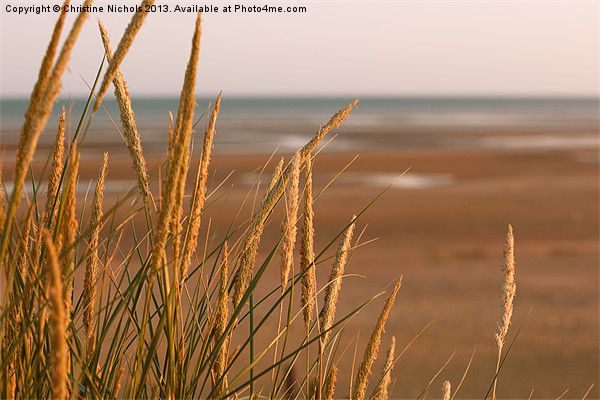 Marram Grass at Camber Sands Picture Board by Christine Kerioak