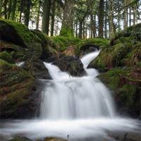 Buy canvas prints of Elan Valley Stream by Stacey Perrin
