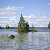 Buy canvas prints of Summer Lake by Hemmo Vattulainen