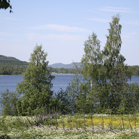 Buy canvas prints of Lake and Fence by Hemmo Vattulainen
