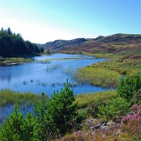 Buy canvas prints of Scottish Summer Loch View by Louise  Hawkins