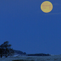 Buy canvas prints of Snowy Moonlit landscape Scotland UK by Ivan Felton-Glenn
