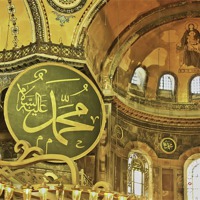 Buy canvas prints of Famous The Hagia Sophia in Istanbul by Dragomir Nikolov