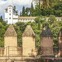 Buy canvas prints of Gardens of La Alhambra by Dragomir Nikolov