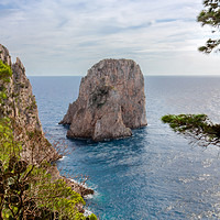 Buy canvas prints of Faraglioni rock on Capri island, Italy.  by Dragomir Nikolov