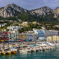 Buy canvas prints of Colorful port of Capri island in Italy by Dragomir Nikolov