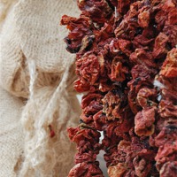 Buy canvas prints of Dried fruits garland by Gabriela Olteanu