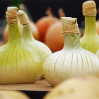 Buy canvas prints of Onions by 