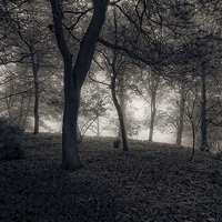 Buy canvas prints of  september mist by chrissy woodhouse