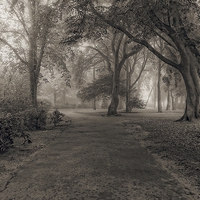Buy canvas prints of  Belle vue in sepia by chrissy woodhouse
