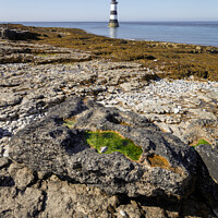 Buy canvas prints of Penmon Lighthouse by Andy McGarry