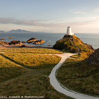 Buy canvas prints of Majestic Sunset at Llanddwyn Lighthouse by Andy McGarry
