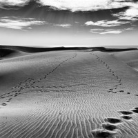 Buy canvas prints of Footsteps in the sand by Andy McGarry