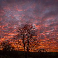 Buy canvas prints of Autumn Sunset Over Cheshire by Andy McGarry