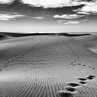 Buy canvas prints of Footsteps in the Sand by Andy McGarry