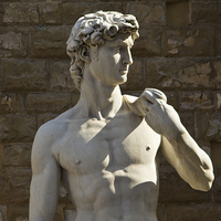 Buy canvas prints of Michelangelos David - Florence by Andy McGarry