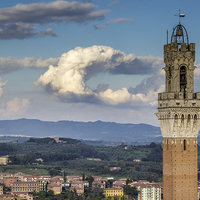 Buy canvas prints of Siena - Torre Del Mangia by Andy McGarry