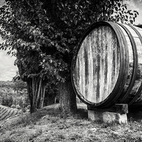 Buy canvas prints of A Chianti Wine Barrel by Andy McGarry