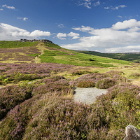 Buy canvas prints of  Higger Tor by Andy McGarry