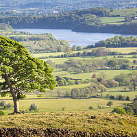 Buy canvas prints of The Lone Tree, the roaches by Andy McGarry