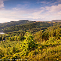 Buy canvas prints of Macclesfield Forest by Andy McGarry