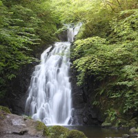 Buy canvas prints of gleno waterfall, northern ireland by william sharpe