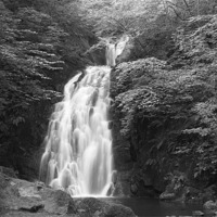 Buy canvas prints of gleno waterfall in black and white by william sharpe