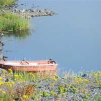 Buy canvas prints of the little red boat by taylor duffy