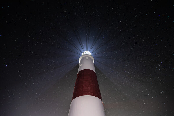 Portland Lighthouse under the Stars Picture Board by Daniel Rose