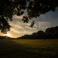 Buy canvas prints of Golden Hour at Upton Country Park by Daniel Rose