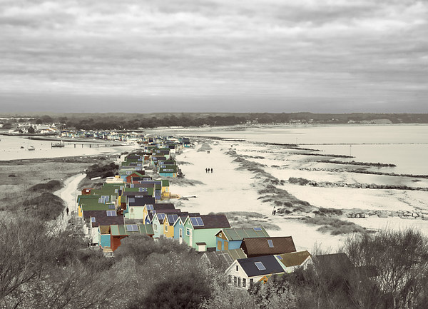 Vivid Mudeford Quay Beach Huts Picture Board by Daniel Rose