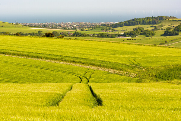 South Downs Lines Picture Board by Malcolm McHugh
