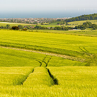 Buy canvas prints of South Downs Lines by Malcolm McHugh