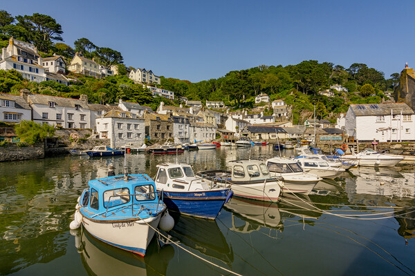 Polperro Reflections Picture Board by Malcolm McHugh