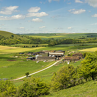 Buy canvas prints of Farming in the South Downs National Park. by Malcolm McHugh