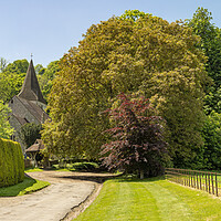 Buy canvas prints of Findon Village Church amongst the Spring Greens by Malcolm McHugh